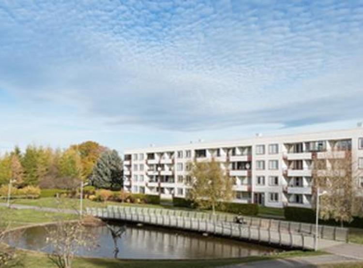 Bullermyren2