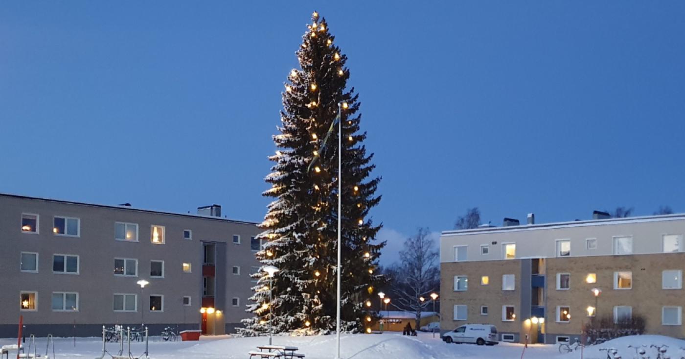 durrnäs jul