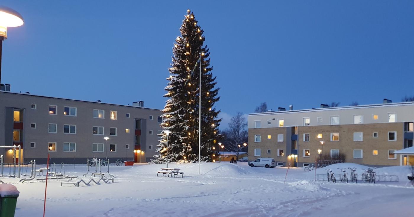 durrnäs jul2