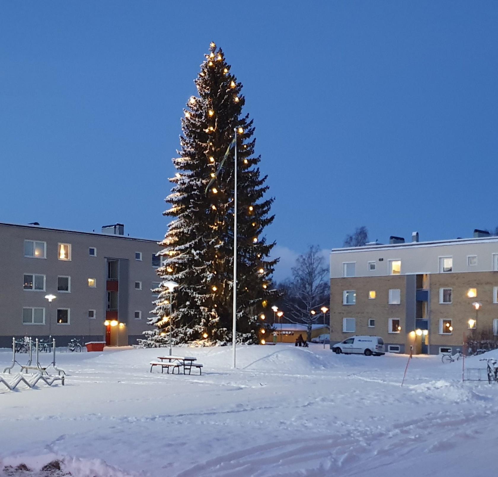 durrnäs jul2