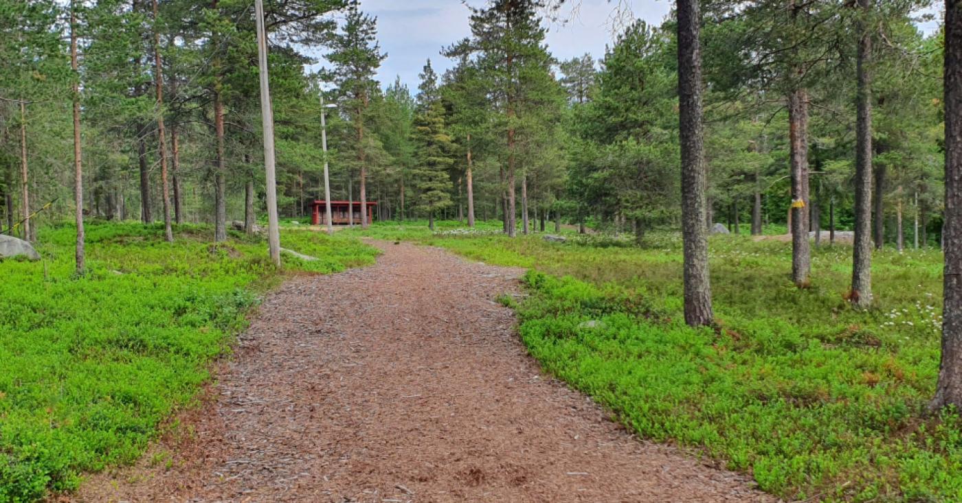 Furuberget elljusspår