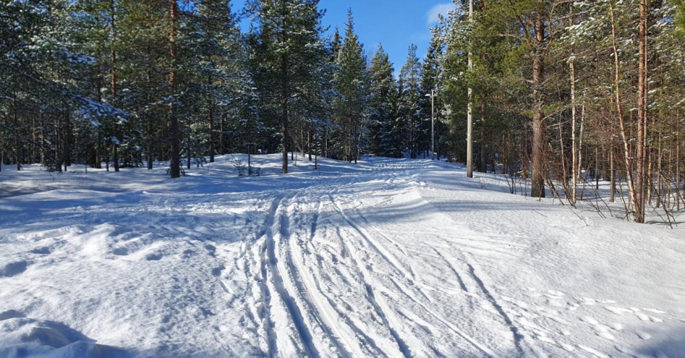 Furuberget skidspår