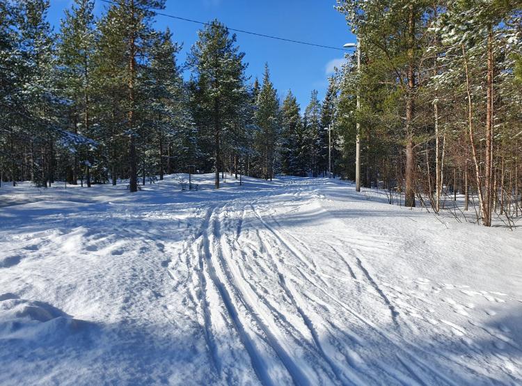 Furuberget skidspår