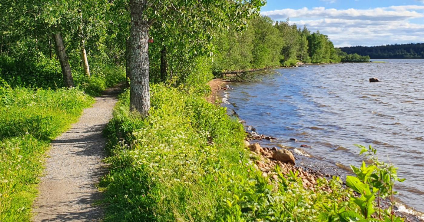 kärleksstigen
